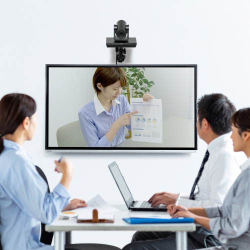 カメラマウント (壁取付用) CR-LACAMW1 サンワサプライ