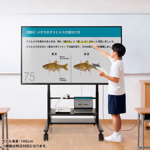 電動昇降ディスプレイスタンド（60～100インチ対応・キャスター付き・高耐荷重110kg）