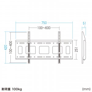 壁掛けテレビ金具（100インチ対応・壁面固定式・耐荷重100Kg・VESA規格） CR-PLKG19BK サンワサプライ