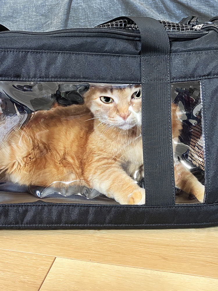 ペットキャリーバッグ おしゃれショルダー｜猫・犬・うさぎの旅行・通院に最適！折りたたみ軽量タイプ