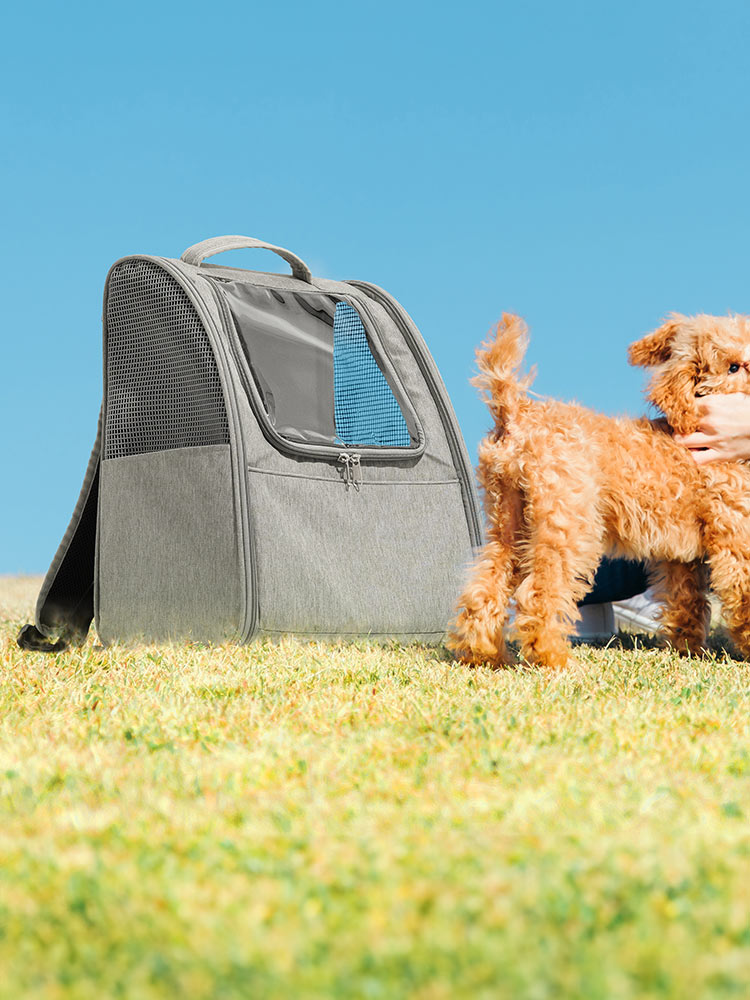 ペットキャリーバッグ おしゃれリュック｜猫・犬・うさぎの旅行・通院に最適！折りたたみ軽量タイプ