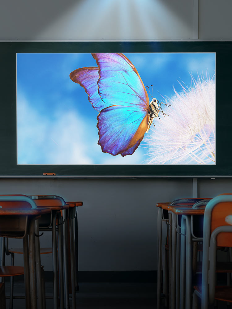 【プロジェクタースクリーン】超短焦点対応マグネット式 80インチ