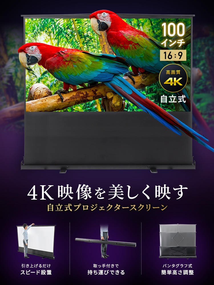 自立式プロジェクタースクリーン 100インチ（16:9）｜折りたたみ式・高画質4K対応・持ち運び便利な大型スクリーン