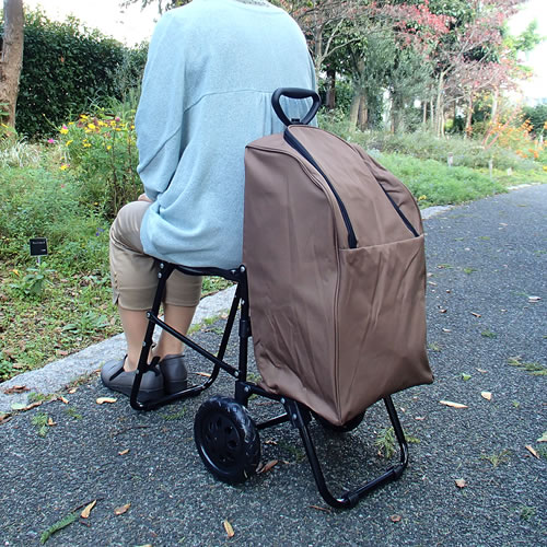 ピンクの介護用椅子とメッセージカード 現品　全国共通価格 51T-JM47pPL.jpg_BO30,255,255,