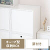 キューブ型収納ボックス（扉・幅35×奥行29.5×高さ35cm・2段式・配線穴・推し活収納棚・アクスタ・DVD・Switch・ホワイト）