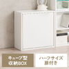 キューブ型収納ボックス（扉・ハーフサイズ・幅35×奥行17×高さ35cm・2段式・配線穴・推し活収納棚・アクスタ・DVD・Switch・ホワイト）