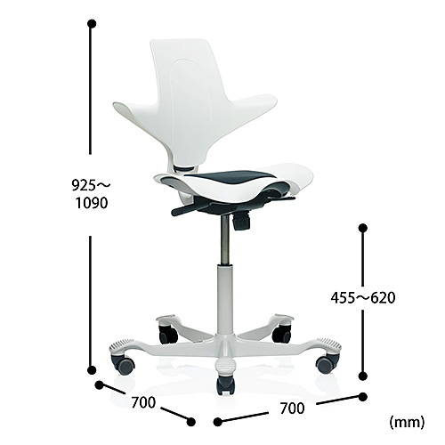 エルゴノミクスチェア（人間工学オフィスチェア・高さ調節・上下