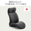 座椅子（多関節リクライニング・ヘッドレスト14段階角度調節・座面14段階角度調節・背もたれ6段階角度調節・ウレタンクッション・KOYO製ギア採用・ブラック）