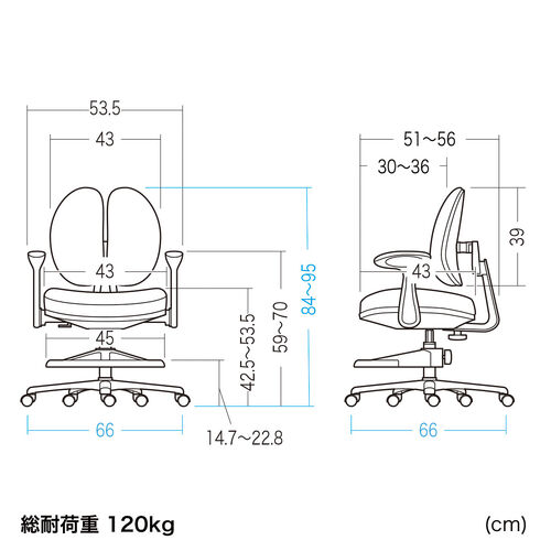 学習チェア（キッズチェア・学習椅子・学習机用チェア・子供用学習チェア・姿勢サポートチェア・成長チェア・ダブルバック・ピンク）