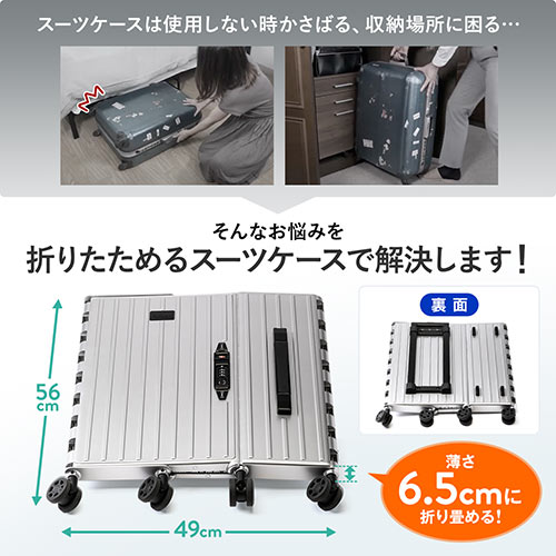 wingabago製 ポリカーボキャリー アクリルキャリー wingabago製 ポリカーボキャリー アクリルキャリー