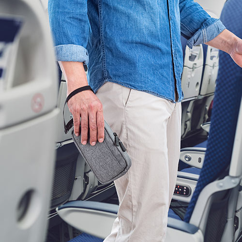 ポーチ（トラベルポーチ・ガジェットポーチ・小物入れ・おしゃれ・大容量・人気・おすすめ・男性・仕切り・収納・便利・持ち運び・ファスナーガード・ストラップ・グレー）BAGIN012GY