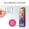 液晶保護フィルム(iPhone12/12Pro用・ガラスフィルム・インカメラ撮影対応・硬度9H・ラウンド形状・アタッチメント付き・ブラック）