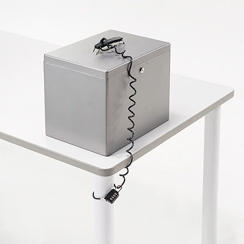 鍵付きファイルボックス（マイナンバー・セキュリティ対策・取手付き・A4ファイル収納可能・鍵付き・大型）