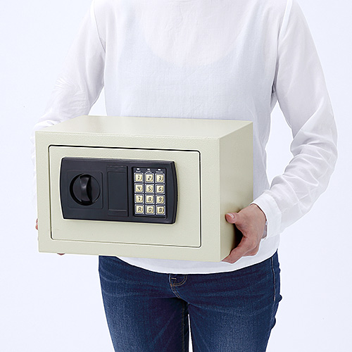 小型電子金庫(マイナンバー・セキュリティ―対策・家庭用・テンキー・鍵式・壁掛け対応・9.9リットル）