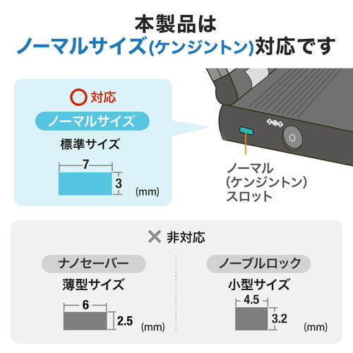 gato様確認用 トリックスター / Ninja ZX-4R SE /ZX-4RR(24-25) 政府認証フル