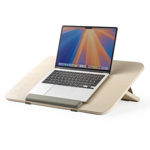 学習台（傾斜台・卓上・6段階角度調整・ワイドタイプ・姿勢改善・iPad・絵描き・ノートPC・タブレット・学習ボード・ライティングボード・リビング学習・動画視聴・読書）