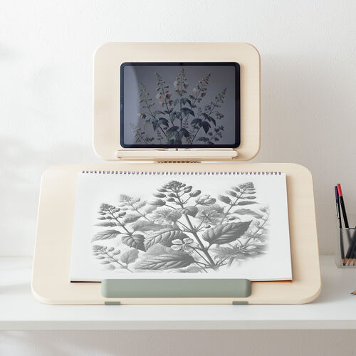 学習台（傾斜台・卓上・6段階角度調整・2層タイプ・ブックスタンド付き・姿勢改善・iPad・絵描き・ノートPC・タブレット・学習ボード・ライティングボード・リビング学習・動画視聴・読書）