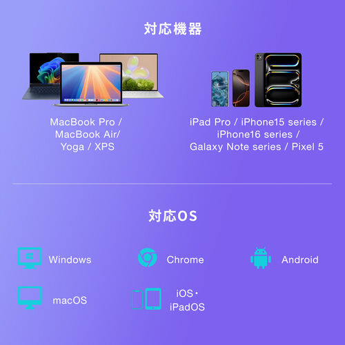 USB-A & USB-C カードリーダー（UHS-II 対応・SDカード・microSDカード・同時認識・コンパクト・USB3.0・Type-C・高速転送・SDXC/SDHC・ガンメタリック）