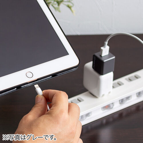 Qubii Pro iPhone iPad iOS 自動バックアップ（USB A・microSDカードリーダー機能・容量不足解消・ローズゴールド）