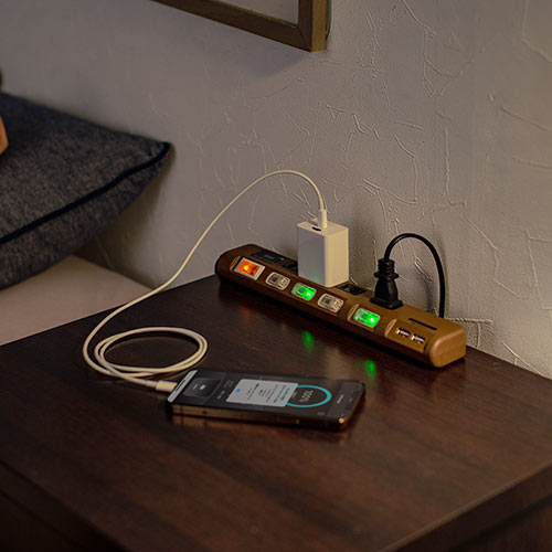 バックアップ付きAC充電器 充電器  iPhone iPad AC一体型 microSD保存 Type-C接続