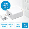 バックアップ付きAC充電器 充電器  iPhone iPad AC一体型 microSD保存 Type-C接続