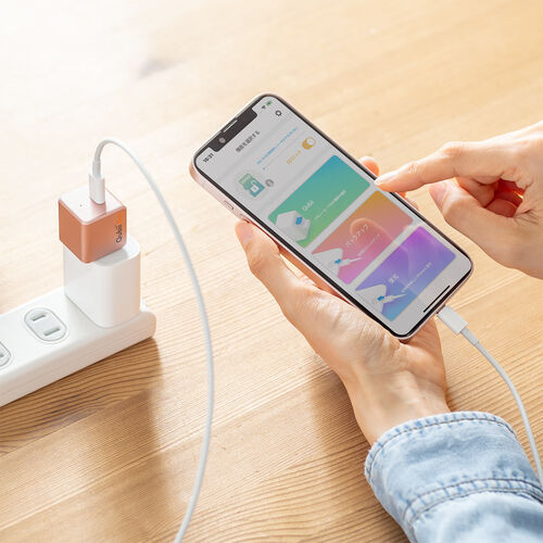 Qubii Duo Type-C接続 iPhone iPad iOS Android 自動バックアップ（USB Type-C・microSDカードリーダー機能・容量不足解消・ローズゴールド）