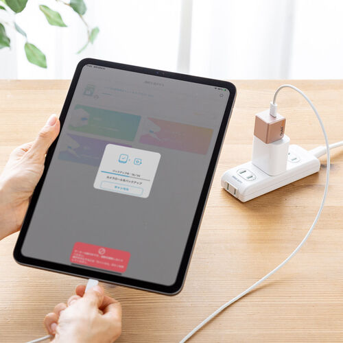 Qubii Duo Type-C接続 iPhone iPad iOS Android 自動バックアップ（USB Type-C・microSDカードリーダー機能・容量不足解消・ローズゴールド）