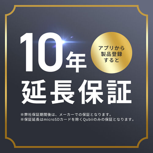 Qubii Power（USB-C バックアップ ＆ 急速充電・PD45W・iPhone/Android 対応・microSD・カードリーダー・写真保存・10年保証・ブラック）