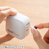 Qubii Power SE（USB-C・バックアップ ＆ 急速充電・PD30W・iPhone対応・Android 対応・microSD保存・カードリーダー・10年保証・ホワイト）