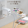 Qubii Power SE（USB-C・バックアップ ＆ 急速充電・PD30W・iPhone対応・Android 対応・microSD保存・カードリーダー・10年保証・ホワイト）
