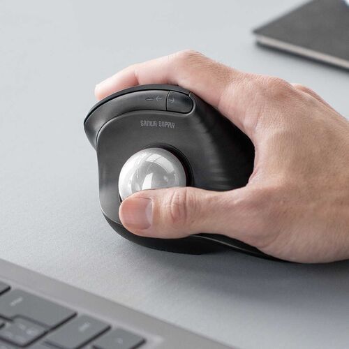 トラックボール（交換用・ボール・34mm・シルバー・光沢仕上げ・他社マウス対応・汎用・玉・修理・高精度・銀色）