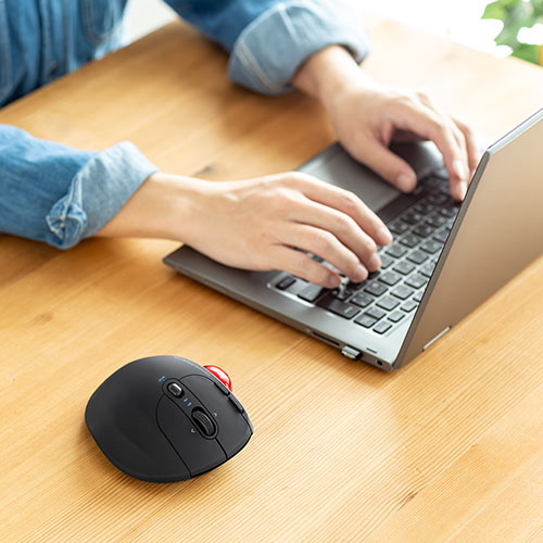 マウス（Bluetooth5.0・2.4GHz・ワイヤレス・トラックボール・5ボタン・IRセンサー・5段階カウント切り替え・チルトホイール・ブラック）