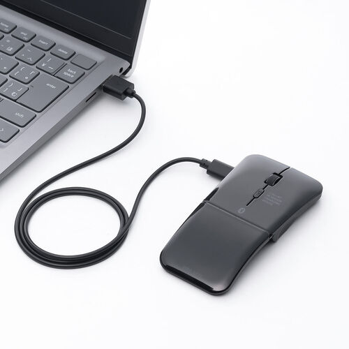 薄型マウス（Bluetooth & 2.4GHz マウス・3ボタン・小型・折りたたみ式・USB-C充電式・無線・ワイヤレス・マルチペアリング・コンパクト・ブラック）