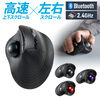 トラックボールマウス（チルトホイール・高速スクロール・エルゴノミクス・静音・2.4GHz・Bluetooth・ワイヤレス・5ボタン・USB-C充電式・ブラック）