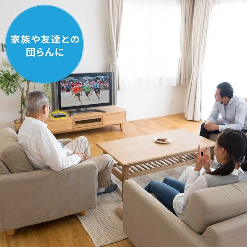 ミニDVDプレーヤー（CD・再生専用・USB給電・リージョンフリー・地デジ・CPRM対応・HDMI・RCA出力・メディアプレーヤー・USBメモリ・microSDカード再生・日本語説明書・ブラック）