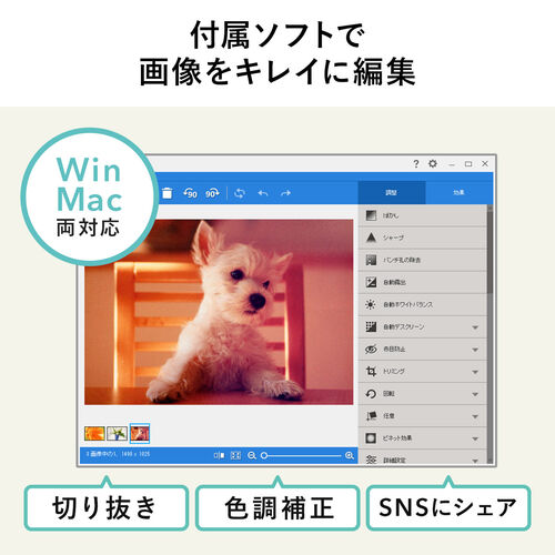 フォトスキャナー（自動・高速・CCDセンサー・写真データ化・A4対応・300dpi・Windows/Mac対応）