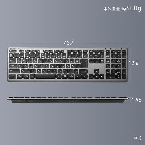 ワイヤレスキーボード（Bluetooth＆2.4Gレシーバー・日本語配列・フルサイズ・マルチペアリング3台・充電式・パンタグラフ式・ブラック）