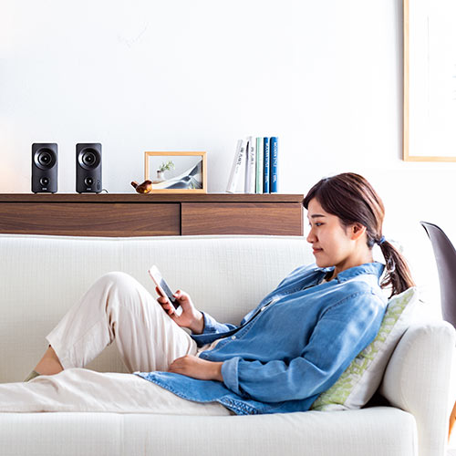 スピーカー（Bluetooth・無線・有線スピーカー・USB接続対応・3.5mm接続対応・10W・ツイーター搭載・ブラック）