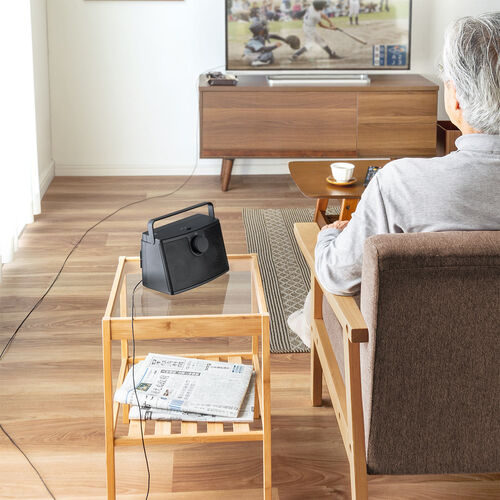 テレビスピーカー（手元スピーカー・有線・ケーブル長5m・10W高出力・充電式・ブラック）