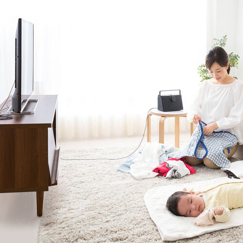 テレビスピーカー（手元スピーカー・有線・ケーブル長5m・10W高出力・充電式・ブラック）