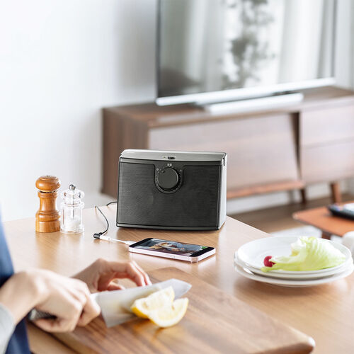 テレビスピーカー（手元スピーカー・有線・ケーブル長5m・10W高出力・充電式・ブラック）