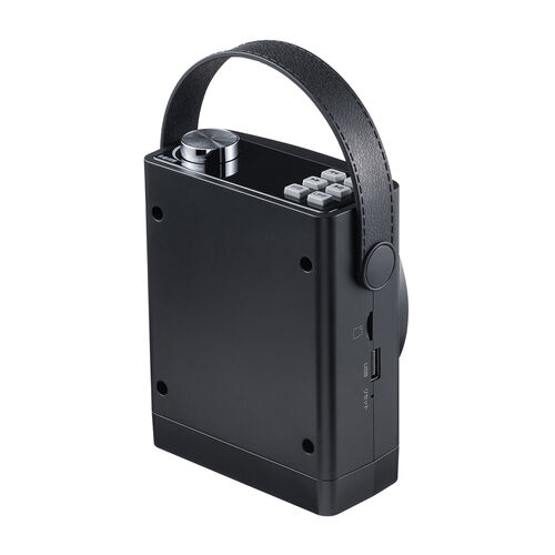 拡声器 ハンズフリー ポータブル マイク ワイヤレス 有線マイク付属 高出力30W USBメモリ microSD イベント ツアーガイド 選挙 セミナー 講義 会議 運動会