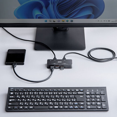 USB切替器（2系統4ポート・USB A/Type C対応・ケーブル付属・5Gbps）