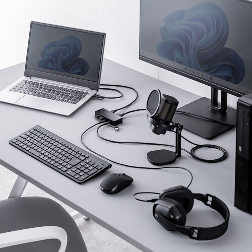 USB切替器（2系統4ポート・USB A/Type C対応・ケーブル付属・5Gbps）