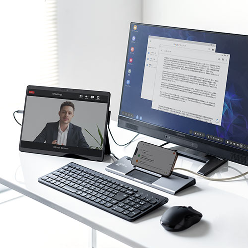 ドッキングステーション（USBハブ・Type-C・PD100W・HDMI・DisplayPort・VGA・2画面出力・有線LAN・カードリーダー）VGA017 サンワサプライ