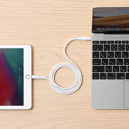 断線しにくいUSB Type-C ライトニングケーブル（断線防止・高耐久メッシュケーブル・Lightning・Apple MFi認証品・USB PD・充電・同期・1m・ホワイト）