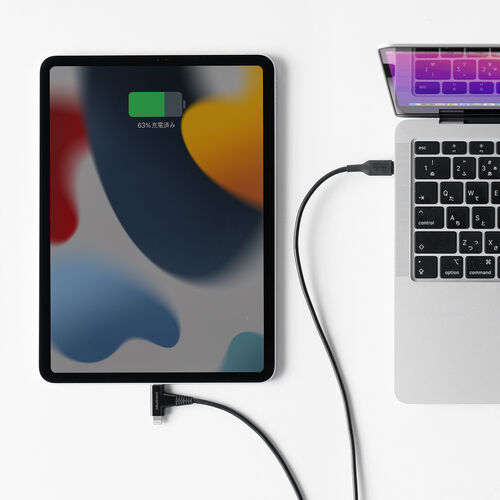 USB Type-C ライトニング 2in1ケーブル（充電・通信対応・1.2m・PD60W対応・データ転送・MFi認証品・iPad（第10世代）・iPhone14対応・ブラック）