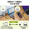 USB Type-C ライトニング 2in1ケーブル（充電・通信対応・1.2m・PD60W対応・データ転送・MFi認証品・iPad（第10世代）・iPhone14対応・ブラック）