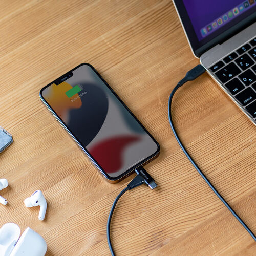 USB Type-C Lightning 2in1 USBケーブル（1.2m・USB PD60W対応・データ転送・MFi認証品・iPad（第10世代）・iPhone15/14対応・ブラック）
