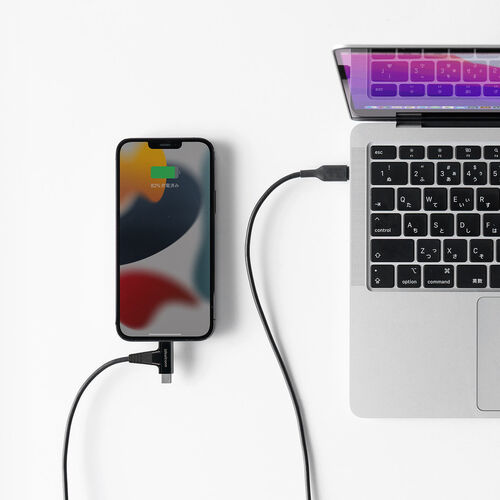 USB Type-C Lightning 2in1 USBケーブル（1.2m・USB PD60W対応・データ転送・MFi認証品・iPad（第10世代）・iPhone15/14対応・ブラック）